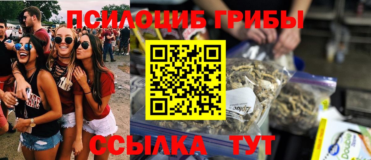 Псилоцибиновые грибы GOLDEN TEACHER Кинешма