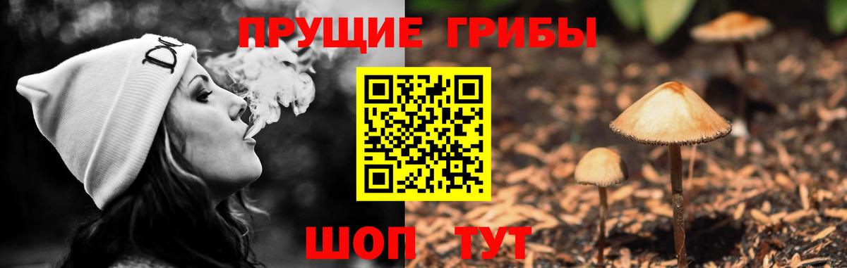 Галлюциногенные грибы мухоморы  Галлюциногенные грибы ЛСД  Кинешма  Вход с VPN 